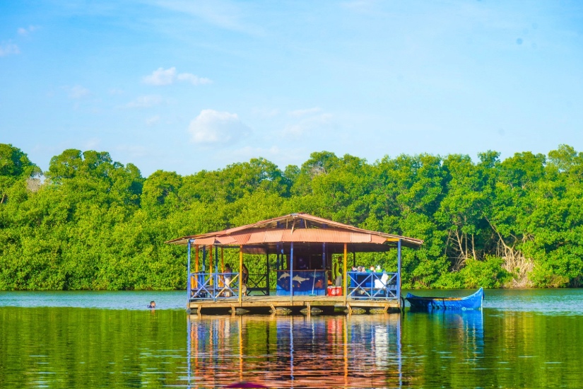🐊Ciénaga La Caimanera